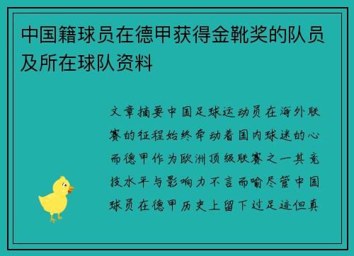 中国籍球员在德甲获得金靴奖的队员及所在球队资料