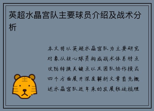 英超水晶宫队主要球员介绍及战术分析